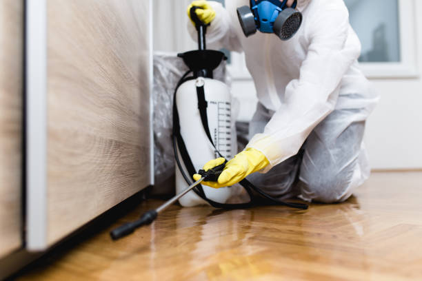 Best Cockroach Control Services  in Rancho Cumonga, CA