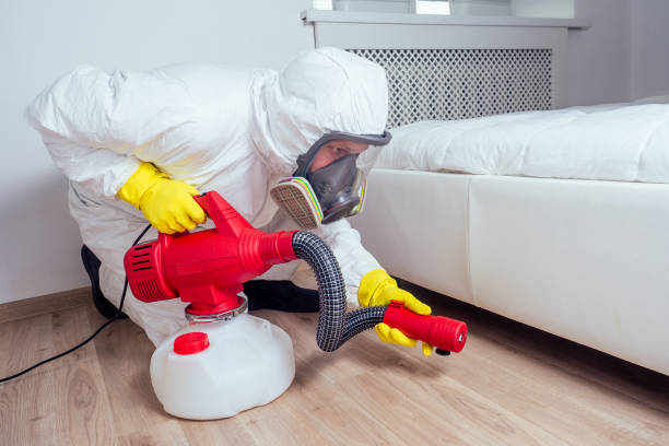 Best Pest Removal Services  in Rancho Cumonga, CA