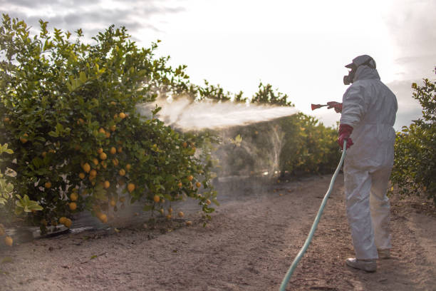 Best Pest Control Near Me  in Rancho Cumonga, CA