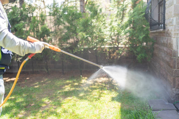 Best Flea Control Services  in Rancho Cumonga, CA