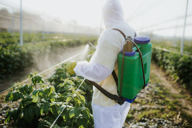 Best Wildlife Control Services  in Rancho Cumonga, CA